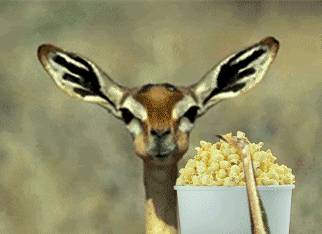 Eating_popcorn_gif.gif