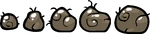 GuppysHairball Row
