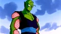 Piccolo55