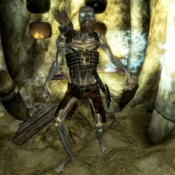 Restless Draugr