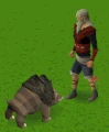 Broav.gif