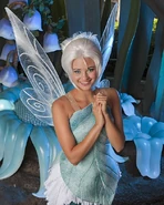 Periwinkle tink 02