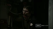 Lennie.2
