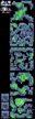 FFII Deist Cavern Map