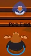 Polo Bow
