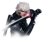 PSASBR Raiden Pre-Order
