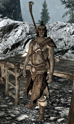 Dushnamub