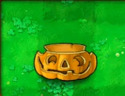 31Pumpkin