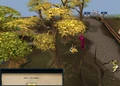 Zanik's location.png