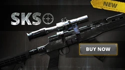 P4F SKS Promo