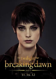 BD2-ALICE