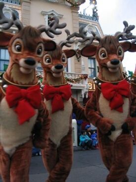 ACFReindeer