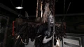 Waltcorpse