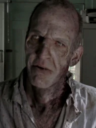 Caminante del Ojo.jpg