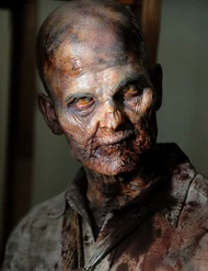 Caminante de la tienda 2.jpg