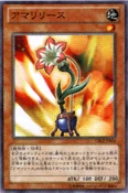 Amarylease-CBLZ-JP-OP
