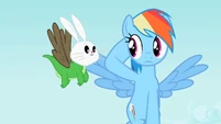 Rainbow Dash staring at Angel-Gummy-Owlowiscious S2E7