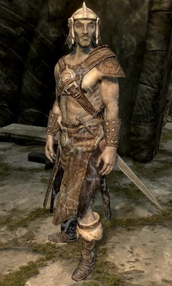 Arvel the swift