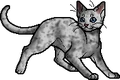 Ashfur (TC).apprentice
