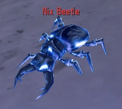 Nix Beetle