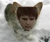 Cam_the_puppy.jpg