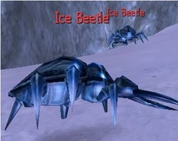 Ice Beetle
