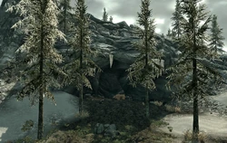 Pinemoon Bear Lair