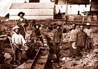 Miners clymene