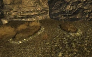 Followers Safehouse graves