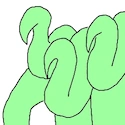 Squib
