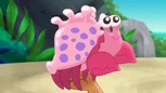 Snappy the hermit crab