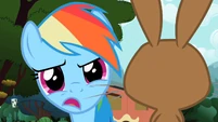 Rainbow Dash cutesy wootsie S2E7