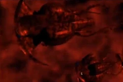 Ancient small vorlon transport