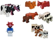 Cows