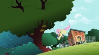Fluttershy pulling S2E07