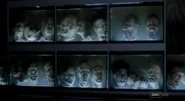 Walkersmany