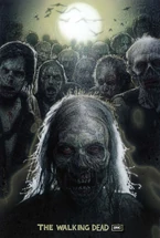 TWD S1 ZPAP