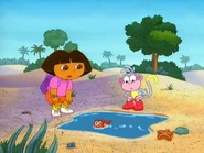 Fish Out of Water