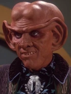 Quark 2373