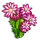 Holiday Cactus-icon