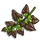 Choco Mint-icon