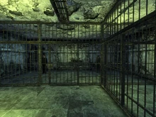 FNV Police HQ jails