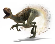 Dino5