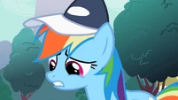 Rainbow Dash "Made the cut" S2E07
