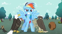 Rainbow Dash in front of the flyers S2E07