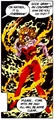 Firebrand Danette Reilly 002