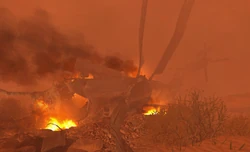 Warhorse 5-1 shot down MW2