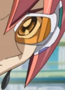 Kari's D-Gazer