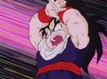 Dbz28-23