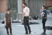 TWD GP 304 0615 0386